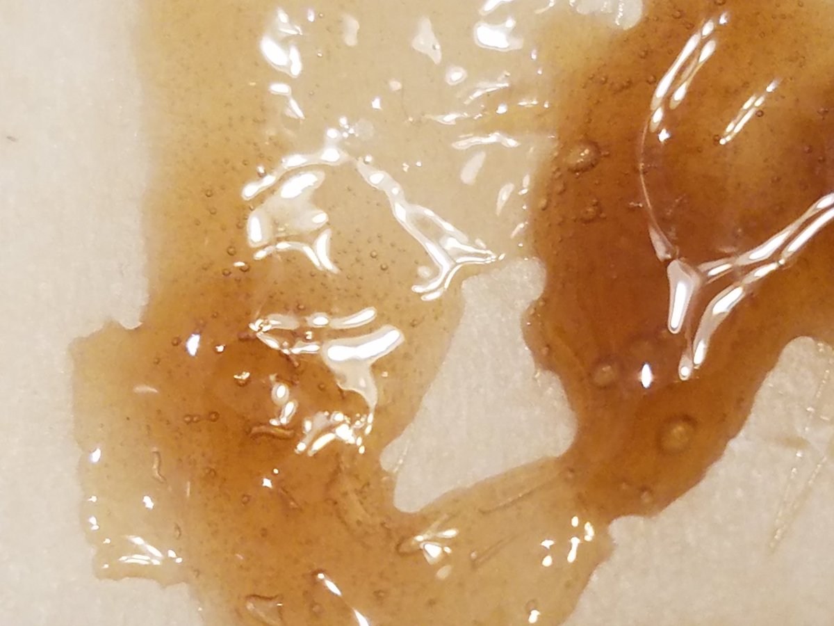 grindin427's tweet image. Close out September with a total profit of +$331.39 including rakeback over 347 tournament entries @ $22 ABI. Offer the gods twice that much as a sacrifice on stream the first day of October! Stay Thirsty my friends. #onlinepoker #mttpoker #twitchpoker #rosin #dabs #420friendly