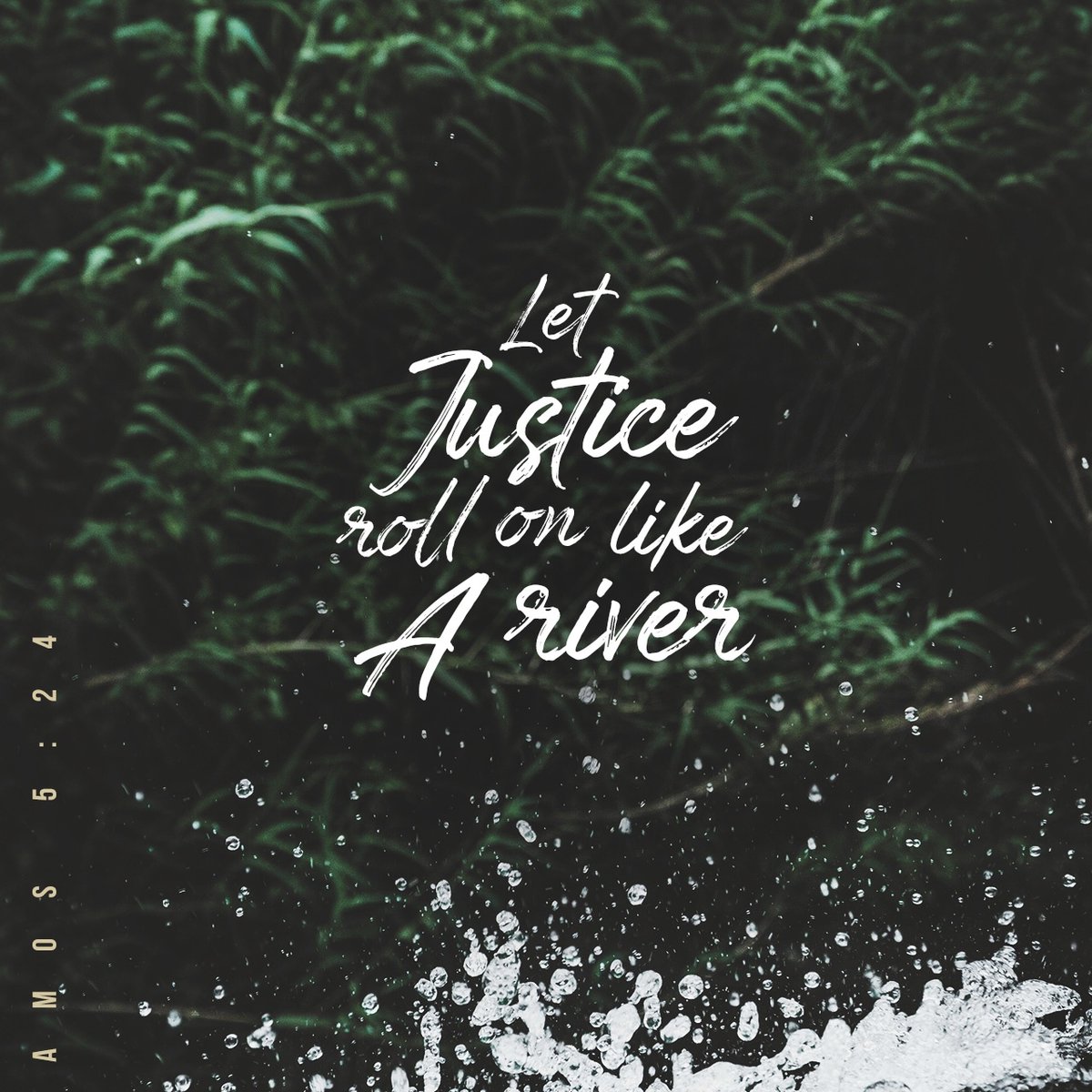 YouVersion Bible App tweet media
