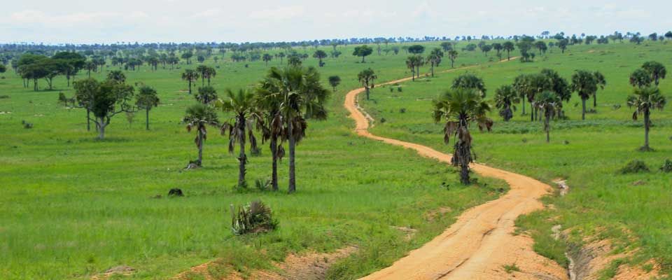 A Game Drive to any of Uganda's Game Parks and Reserves will lead you through such planned Tracks as you sight wildlife on either sides.
#SafariUganda
#TourUganda
#SunTrackAdventures
#gameparks https://t.co/4zmipBWXiX