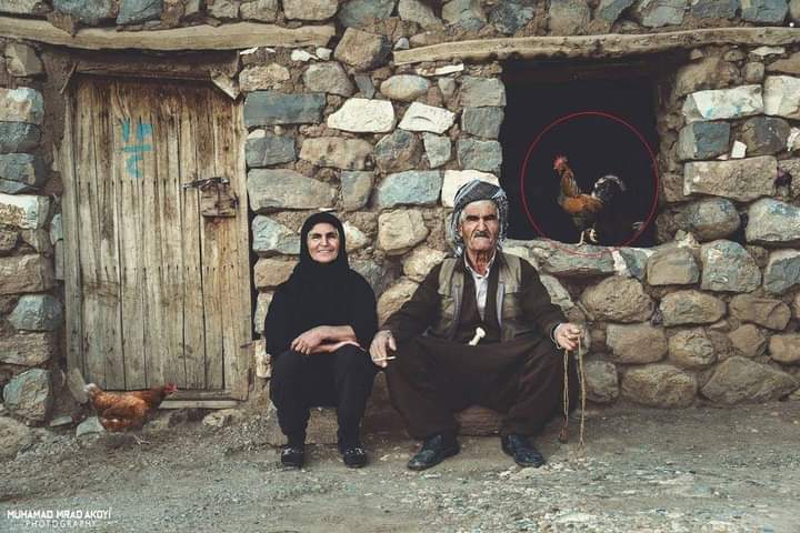 XalidBezhan2's tweet photo. بەیانیتان باش هاورێ یان
صباح الخیر الاصدقائی
Good morning https://t.co/bzQX0uFlS4