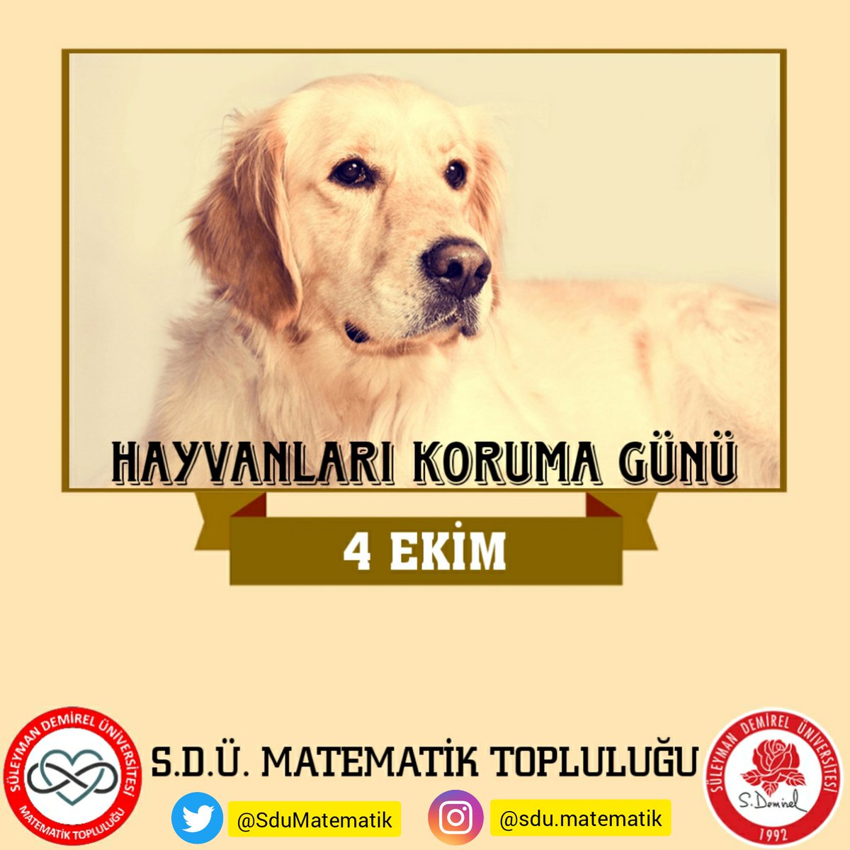 SduMatematik's tweet photo. 4 Ekim Hayvanları Koruma Günü 
#4EkimHayvanlarıKorumaGünü
#4Ekim #sdümatematik #sdü https://t.co/VDoegiN3PY