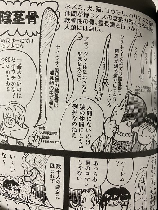 ピカイア 半紙半生 Cid Rapter さんのマンガ一覧 いいね順 10ページ ツイコミ 仮 ピカイア 半紙半生 Cid Rapter さんのマンガ一覧 いいね順 10ページ ツイコミ 仮