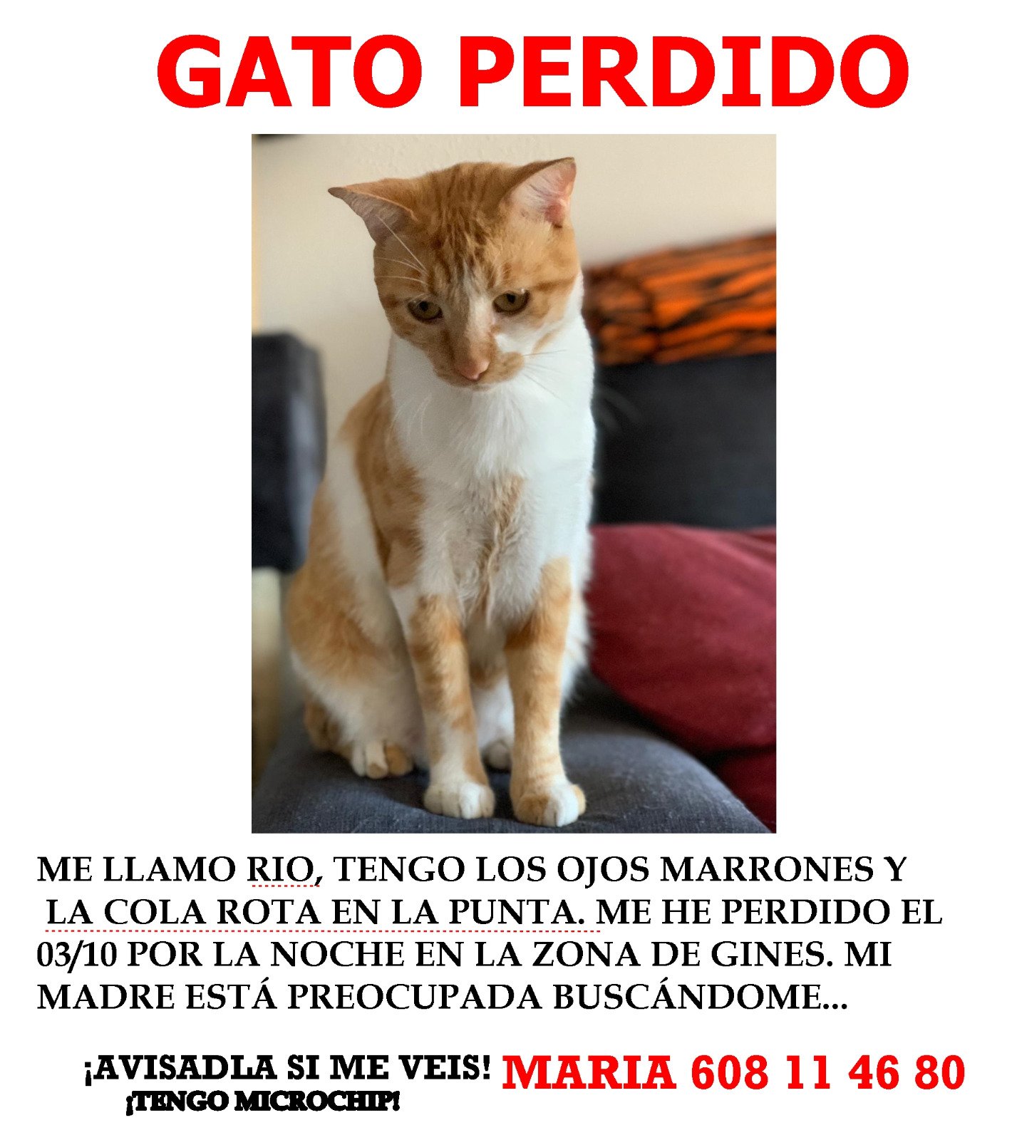 Isla de Alcatraz patrimonio Perforar 𝓒𝓪𝓻𝓶𝓮𝓷 𝓒𝓮𝓻𝓿𝓪𝓷𝓽𝓮𝓼 ® on Twitter: "¡¡MAXIMA DIFUSION!! ¡¡GATITO PERDIDO!! En Gines #Sevilla https://t.co/mHlka0MmYK" / Twitter Isla de Alcatraz patrimonio Perforar 𝓒𝓪𝓻𝓶𝓮𝓷 𝓒𝓮𝓻𝓿𝓪𝓷𝓽𝓮𝓼 ® on Twitter: "¡¡MAXIMA DIFUSION!! ¡¡GATITO PERDIDO!! En Gines #Sevilla https://t.co/mHlka0MmYK" / Twitter