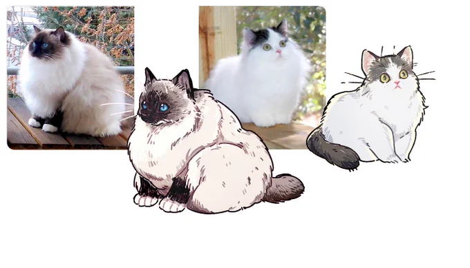 털 뚱땡이 ?‍⬛ 