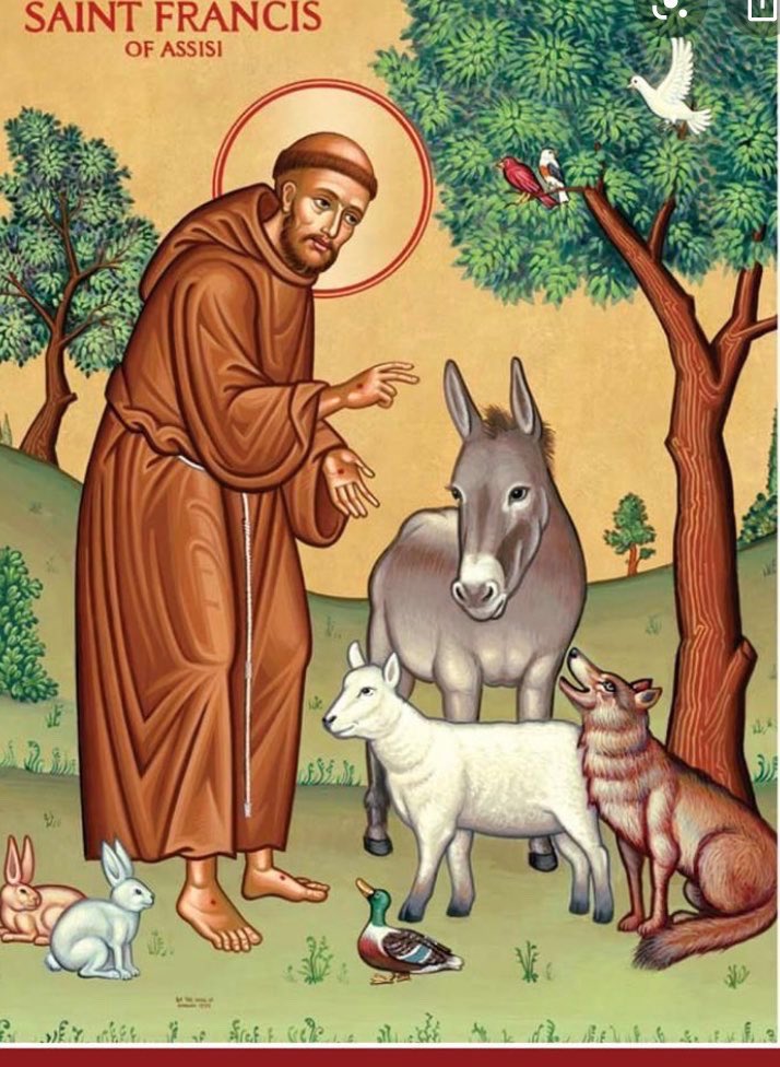 FarmSjsb's tweet photo. Today we celebrate St Francis the inspiration for our school farm and forest. #sjsbFARM https://t.co/YTNKpqWEKo