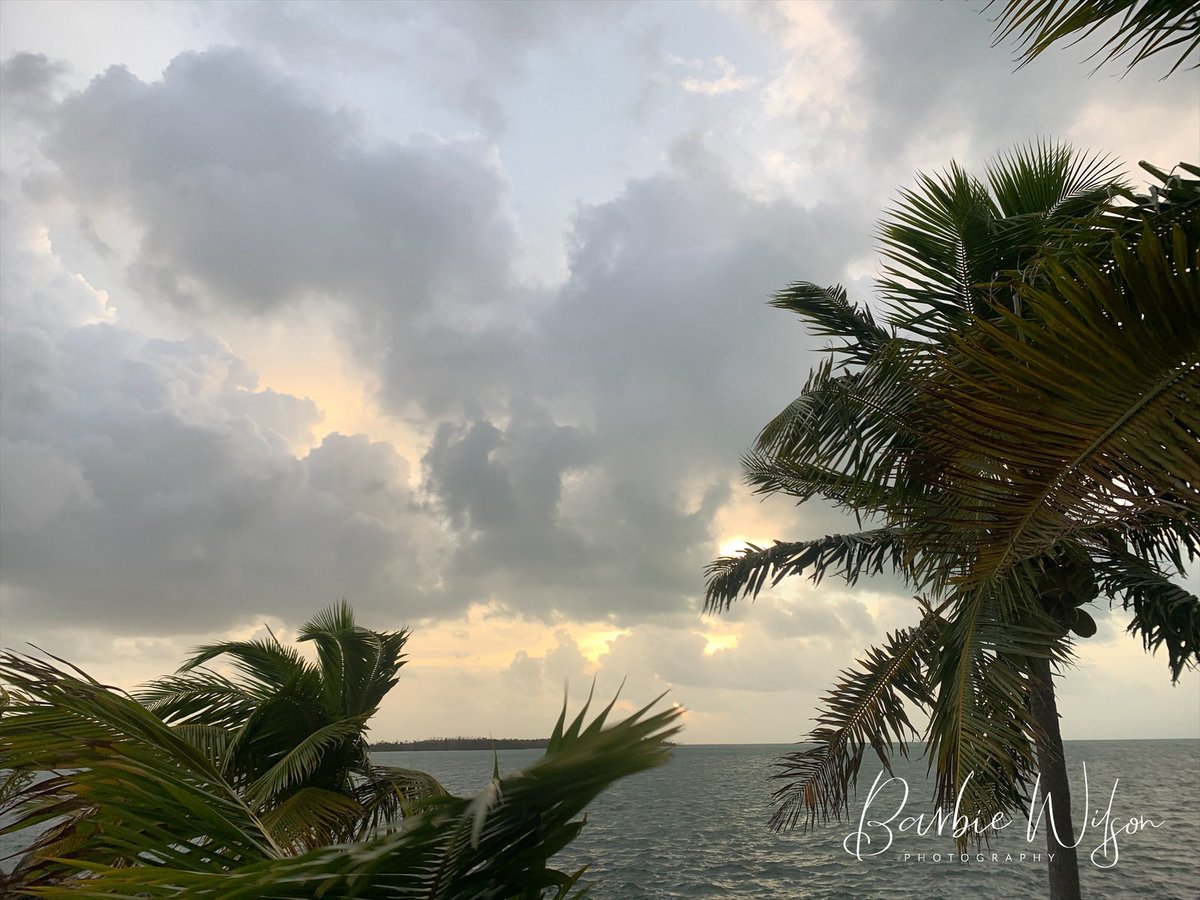 A stiff salty ocean breeze and an osprey overhead makes my heart happy! Gm! #keywest #sunrise