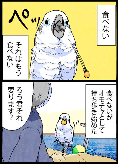 いたずらオウムの生活雑記のtwitterイラスト検索結果