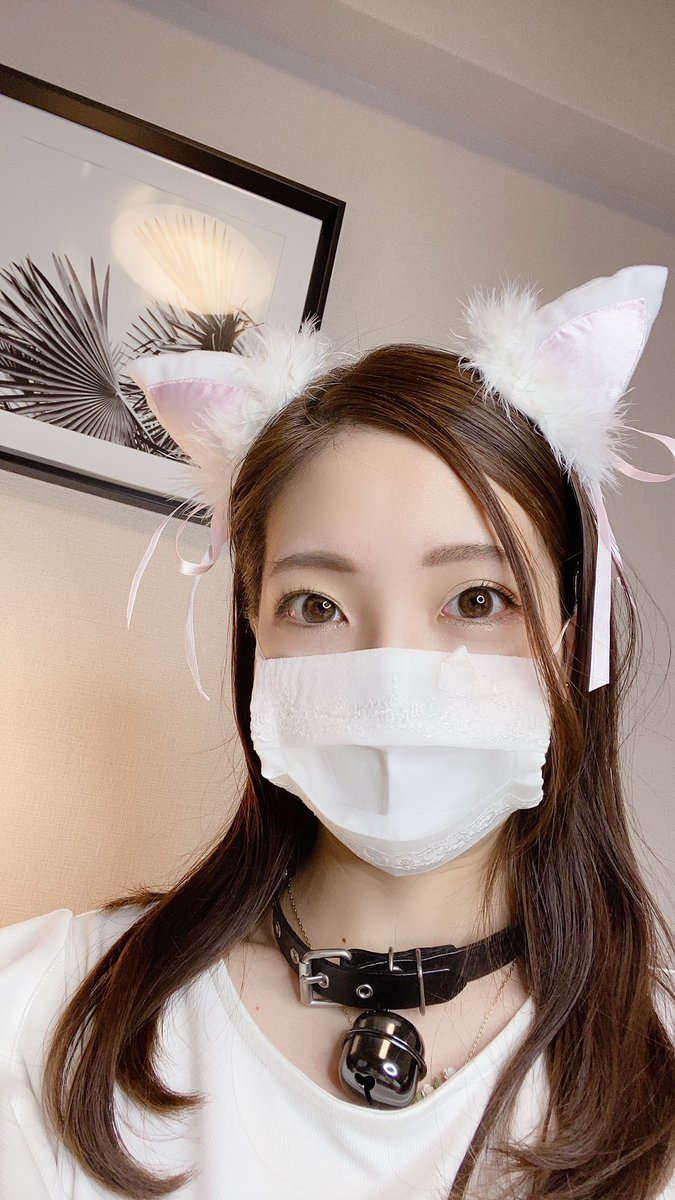 あこ み ゃ ユーチューブ 猫 白