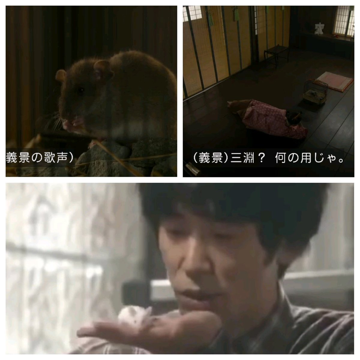 わび さび 26 史実の 伊右衛門 毒殺と ユースケ義景 アルジャーノン化 乳母を 跡目争い ようやく授かった嫡男 阿君丸の早世 享年7歳 そのショックで上洛や政治も遠のく チュウ太郎 演出が アルジャーノンに花束を 02年版ドラマ 麒麟がくる わび さび 26 史実の 伊右衛門 毒殺と ユースケ義景 アルジャーノン化 乳母を 跡目争い ようやく授かった嫡男 阿君丸の早世 享年7歳 そのショックで上洛や政治も遠のく チュウ太郎 演出が アルジャーノンに花束を 02年版ドラマ 麒麟がくる
