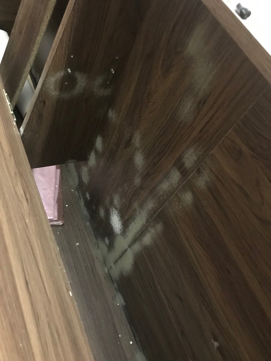 HimanshuRai's tweet photo. @Pepperfry Broken bed, fungus all over, people falling down in sleep due to bed collapsing and all u can do is fix it until it happens again. Chasing since 15th Sep 2020 dealing with highly insensitive customer care. No hopes of a proper resolution. https://t.co/EHPsvczwGa