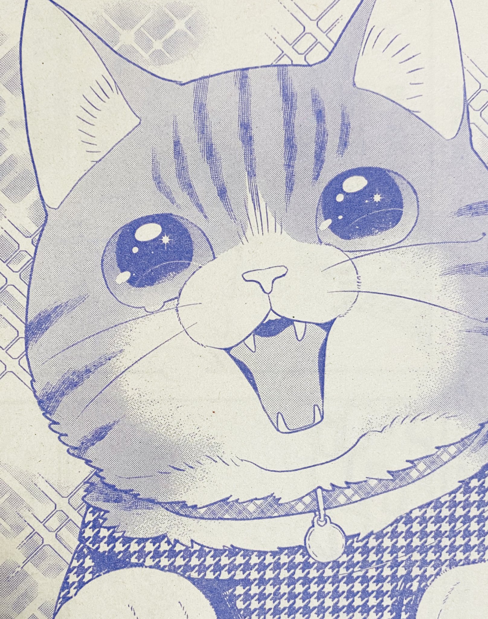 ねこ はじめました公式 Nekohajimeta Twitter
