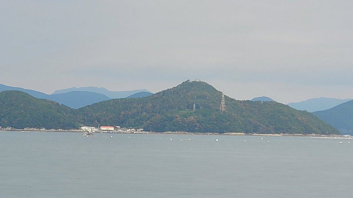 supsansa's tweet image. 통영 앞바다는  소나무재선충병으로 소나무의 무덤으로  더욱 붉은 빛으로  확산이다. 뭘하는지 삼림청은 환경부는 통영시는?