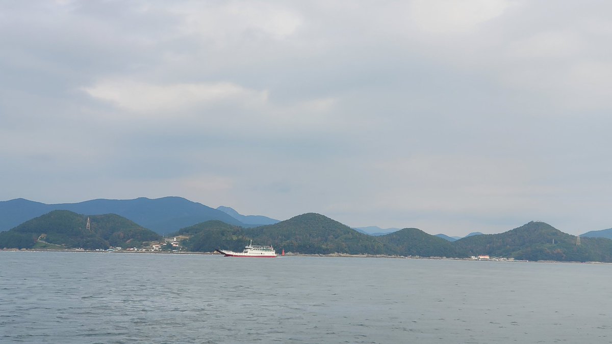 supsansa's tweet image. 통영 앞바다는  소나무재선충병으로 소나무의 무덤으로  더욱 붉은 빛으로  확산이다. 뭘하는지 삼림청은 환경부는 통영시는?