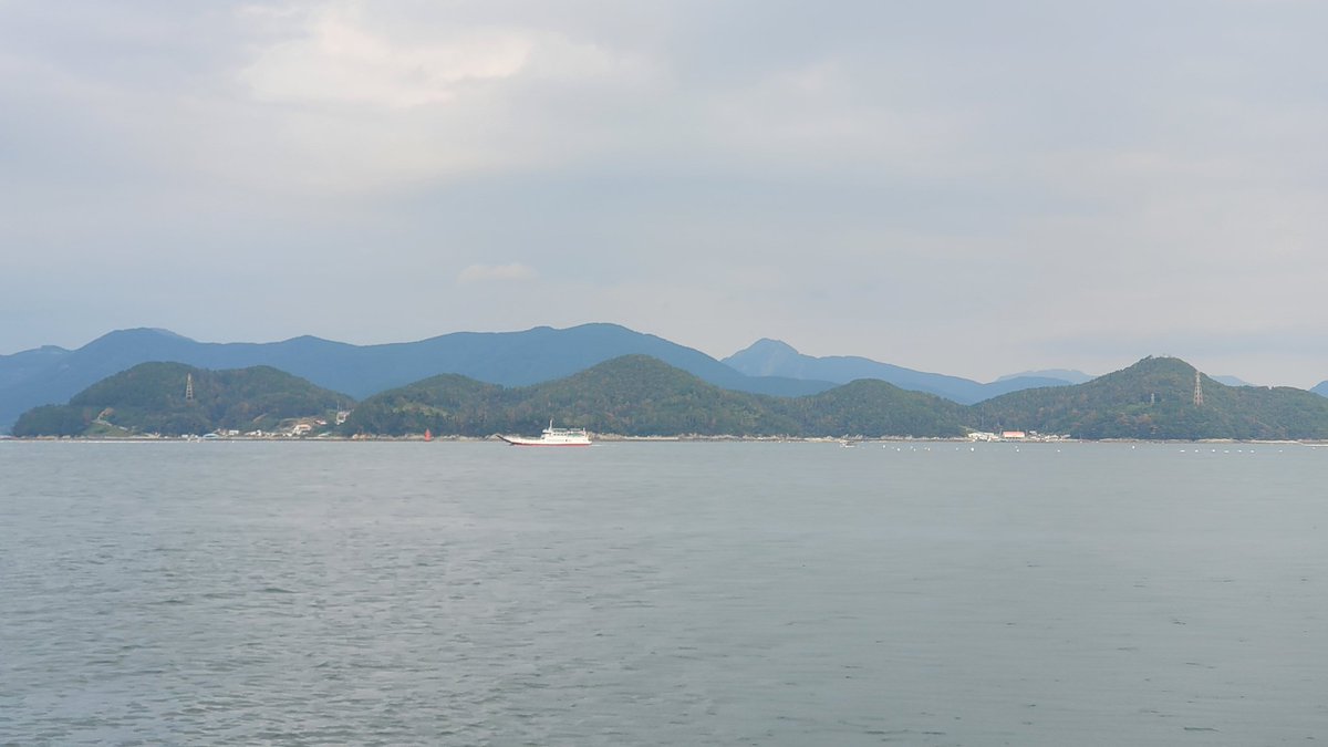 supsansa's tweet image. 통영 앞바다는  소나무재선충병으로 소나무의 무덤으로  더욱 붉은 빛으로  확산이다. 뭘하는지 삼림청은 환경부는 통영시는?