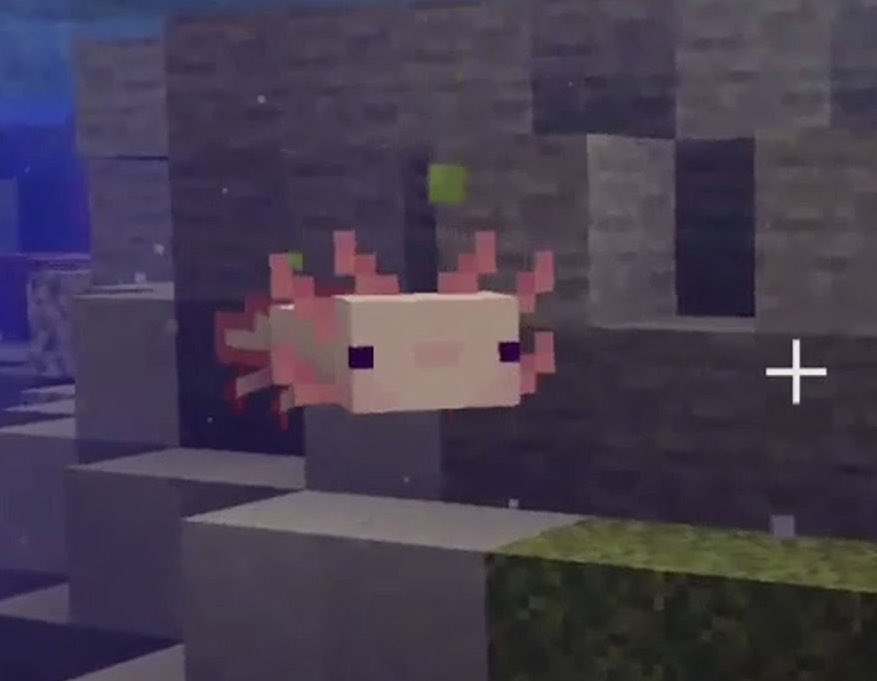 TobyWright25's tweet photo. there’s a fucking axolotl in minecraft https://t.co/QNboKkFzK1