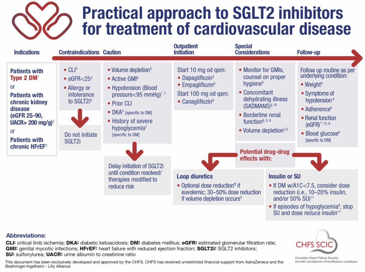 Dr Rani Khatib FESC tweet media