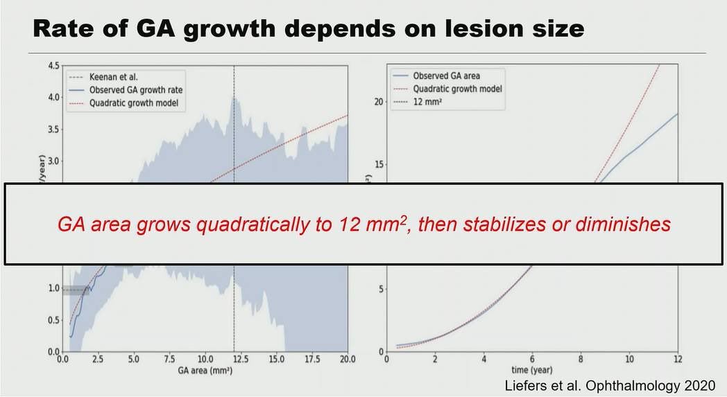 Rosana Leiva tweet media