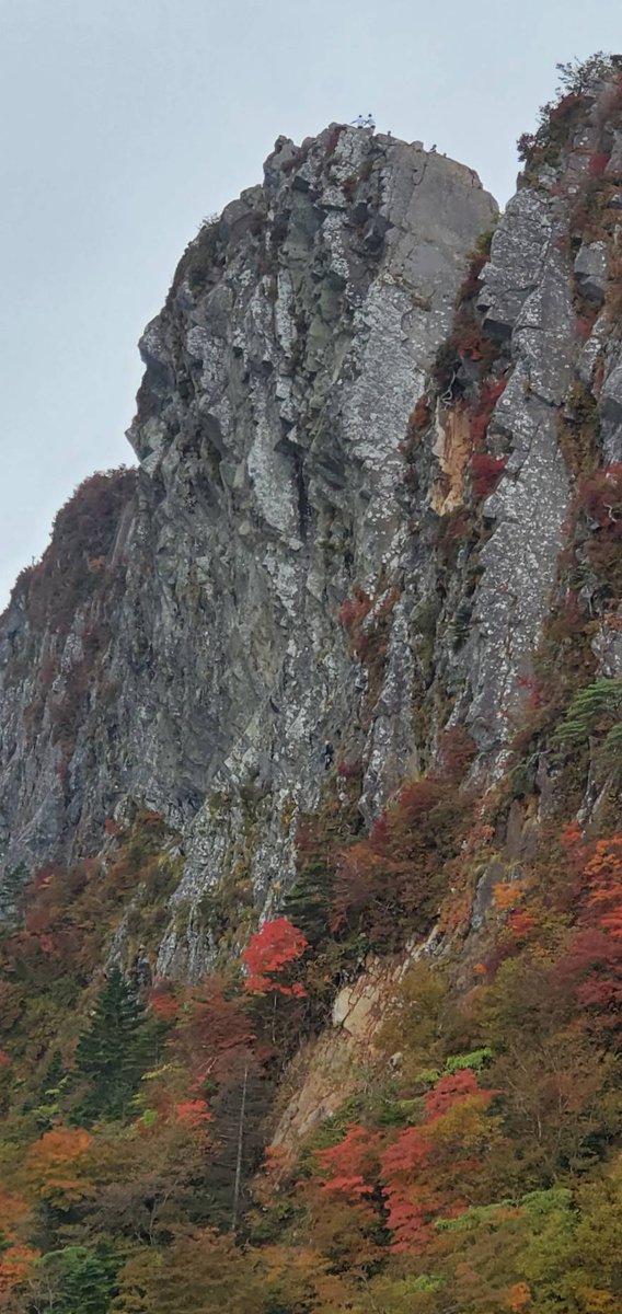 クラッシャー･サトー tweet media