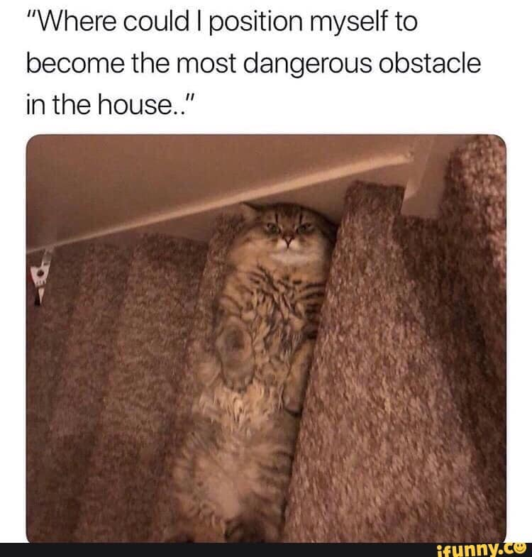 dianeeliz's tweet photo. @TweetsTwiglet Camouflage lol x https://t.co/cYr7V1mRKy
