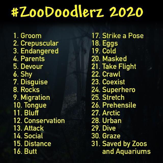 Day 2 is crepuscular, meaning active at dawn and dusk. I love going to silver lake I’m big cottonwood canyon in the evening because I almost always see a moose or two! They browse for grass and pine cones and their antlers can be up to 6 feet end to end!