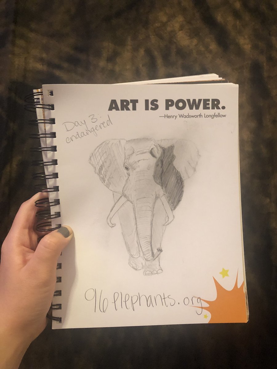 Day 3 is endangered. Both species of elephants are considered endangered, with poaching being the biggest threat to African elephants and habitat loss the biggest threat to Aidan elephants. It is estimated 96 elephants are killed every single day in Africa for their ivory+