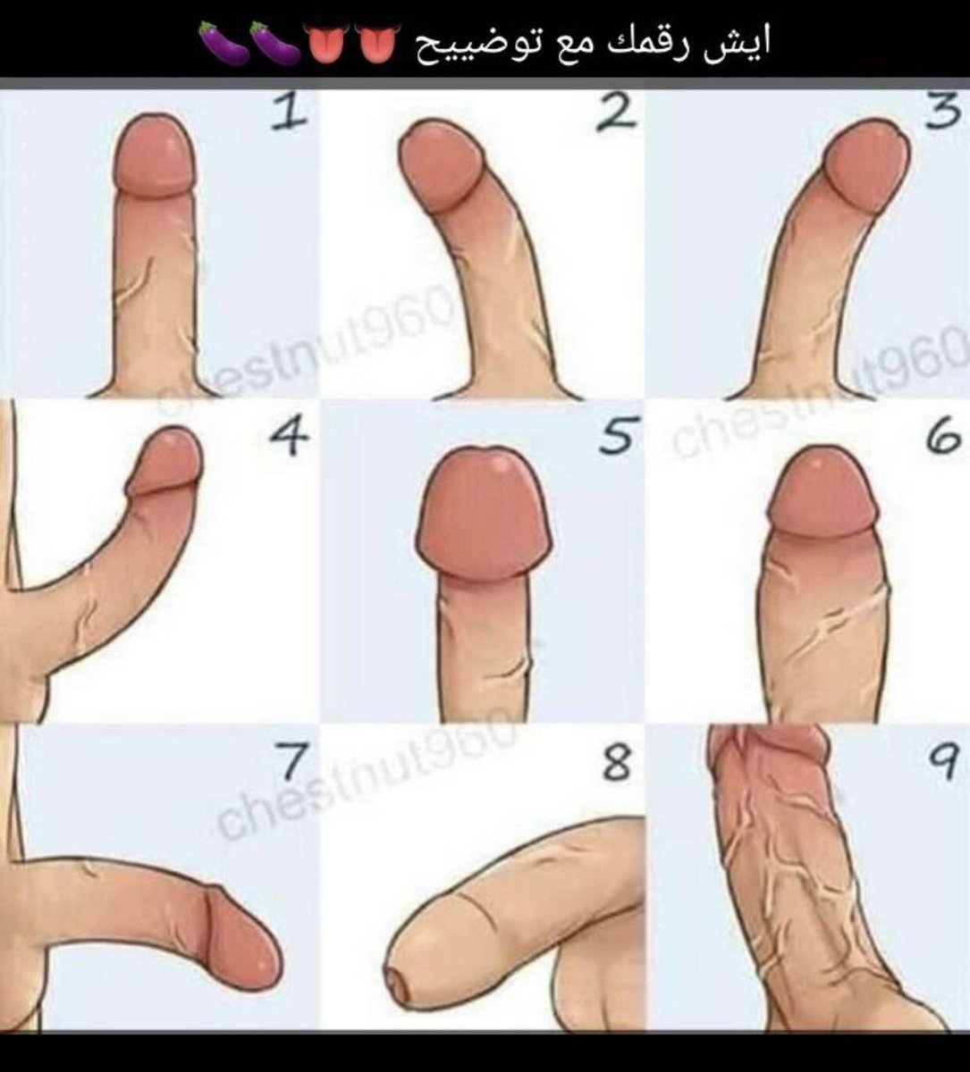 صباح الخير للجميع... كل واحد يقول رقمه