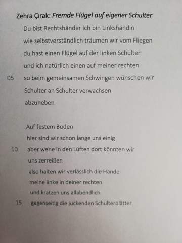 Check "Fremde Flügel auf eigener Schulter" by Zehra Çırak