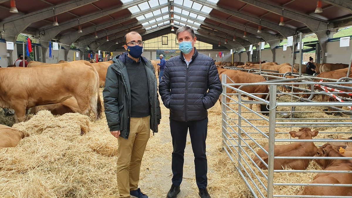 Cangas del Narcea acoge este fin de semana la 35 Muestra Ganadera de Asturiana de los Valles. Es el primer concurso de este tipo desde el inicio de la pandemia. En el recinto ferial ha estado el director del Área de Agricultura de la Delegación, <a href="/EnRoNu/">EnriqueRN</a>, en la foto con el Alcalde