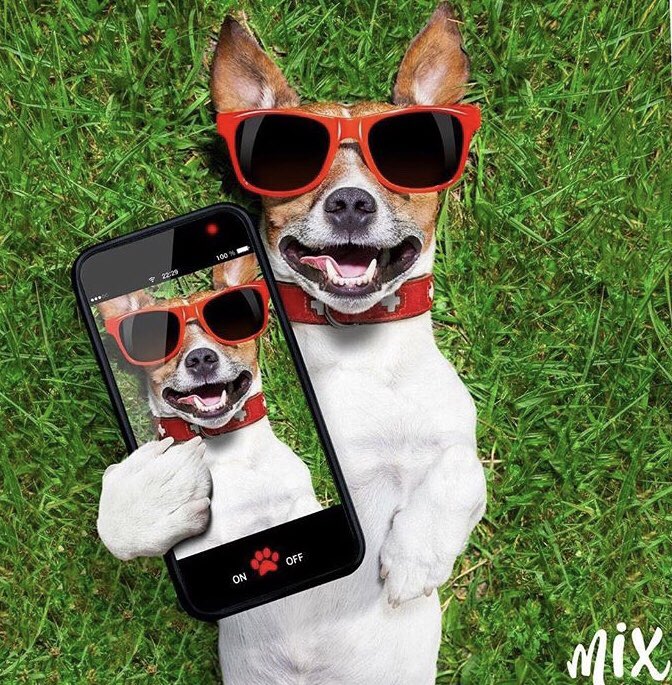 "Onları sadece bir gün değil her gün seviyoruz." 💚
🐱🐶🐥 Dünyayı daha yaşanılabilir kılan sevimli dostlarımıza olan sevgi ve şefkatin giderek artmasını diliyor, 4 Ekim Hayvanları Koruma Günü'nü kutluyoruz. 😊
#MixKayseri #YaşamMerkezi #Keyif #Yaşam #Eğlence