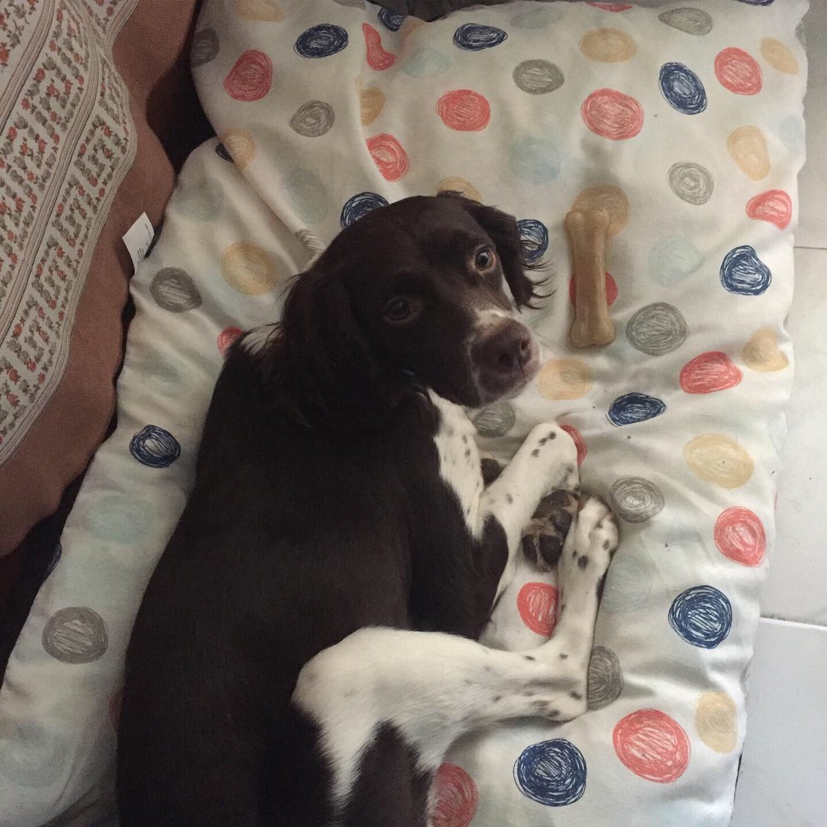 NightAngel27Ofi tweet media