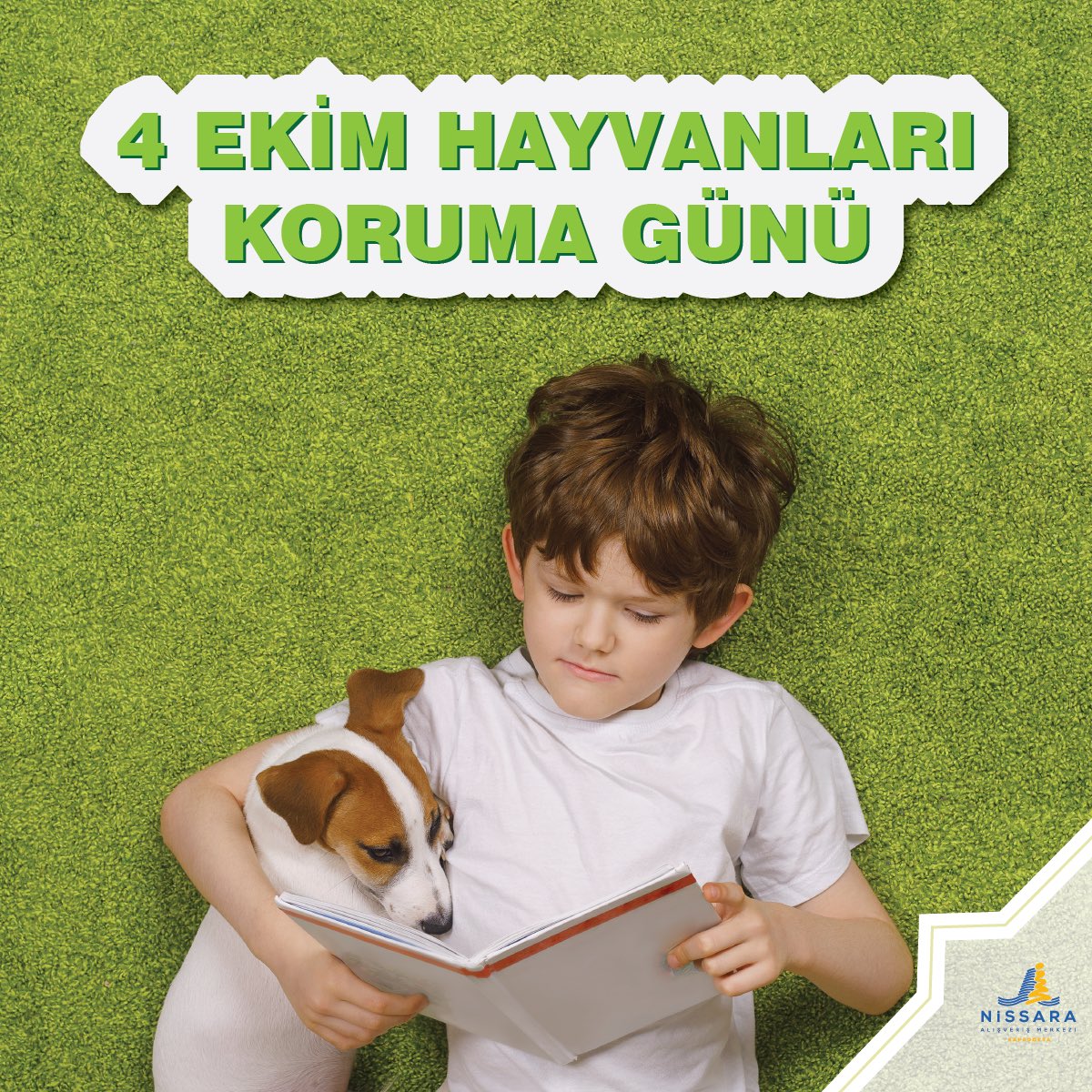 Hayatı sevmek önce hayvanları sevmekle başlar. #DünyaHayvanlarıKorumaGünü kutlu olsun! 🐶🐈

#nissaraavm #eğlenceninkalbi #şehrinmerkezi #cappadocia #kapadokya #nevşehir