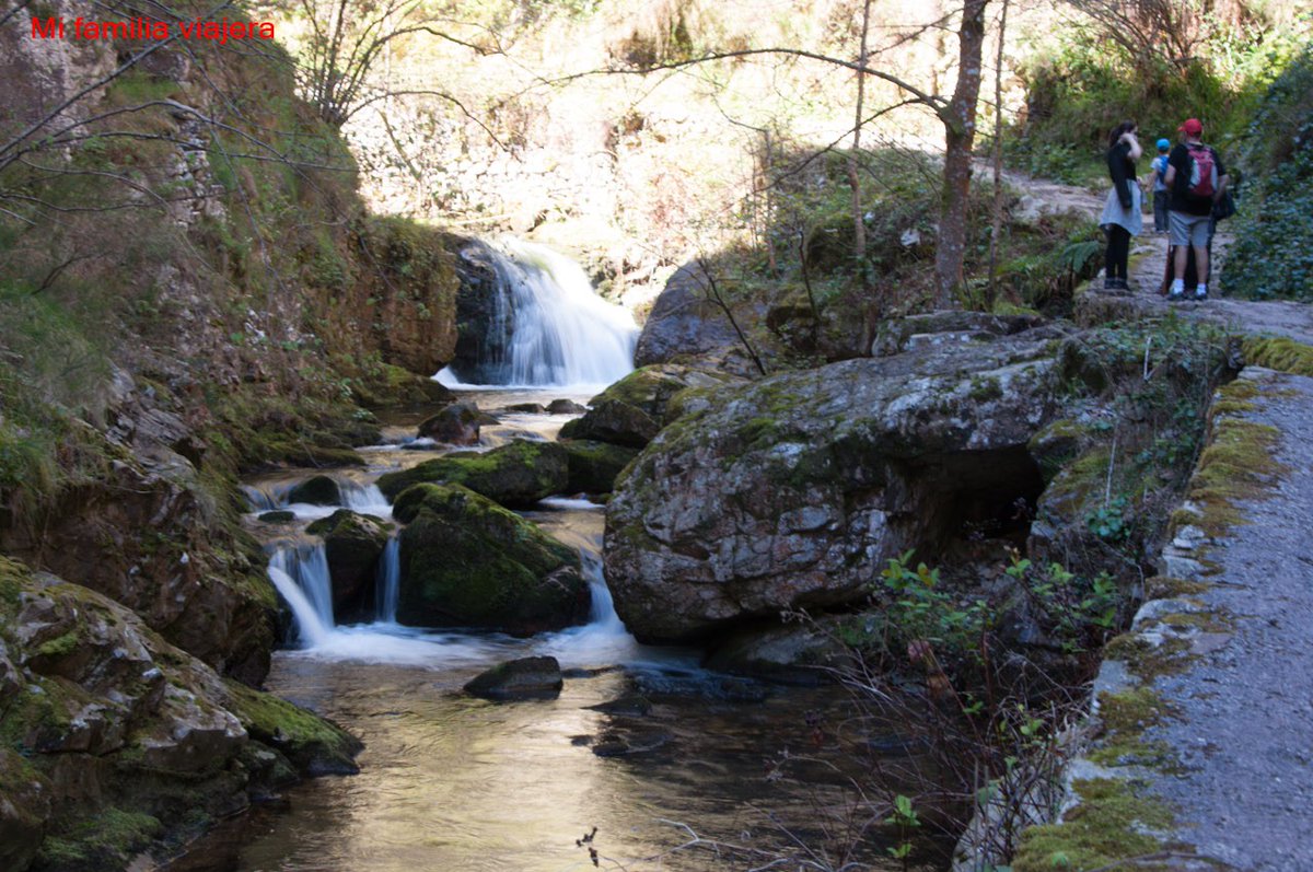 mfamiliaviajera's tweet photo. El #ParqueNaturaldeRedes es un paraje excepcional. En la #RutadelAlba, además de disfrutar de los paisajes otoñales, vamos a adentrarnos en las Foces del Llaímo. Una garganta horadada por el río Alba con abruptas y verticales paredes. 👉https://t.co/Aqyq6I3XXY https://t.co/k5CCjOAyjn