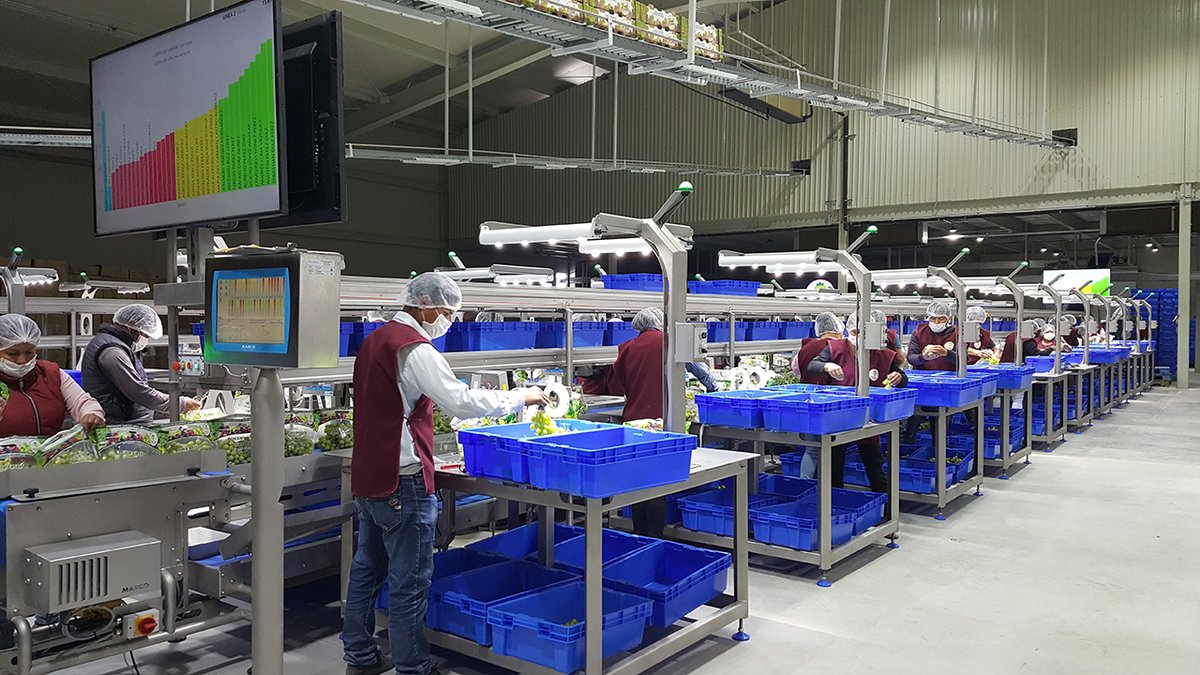 MARCO_Limited's tweet photo. Instructional videos and messages displayed on our Trac-IT Production Data Display screens creates an instant communication link between your management and operators. See how our clients have used their systems below.
https://t.co/NVki4DHxkJ
#packingsystem #foodpacking https://t.co/PA6Yb9U1HZ