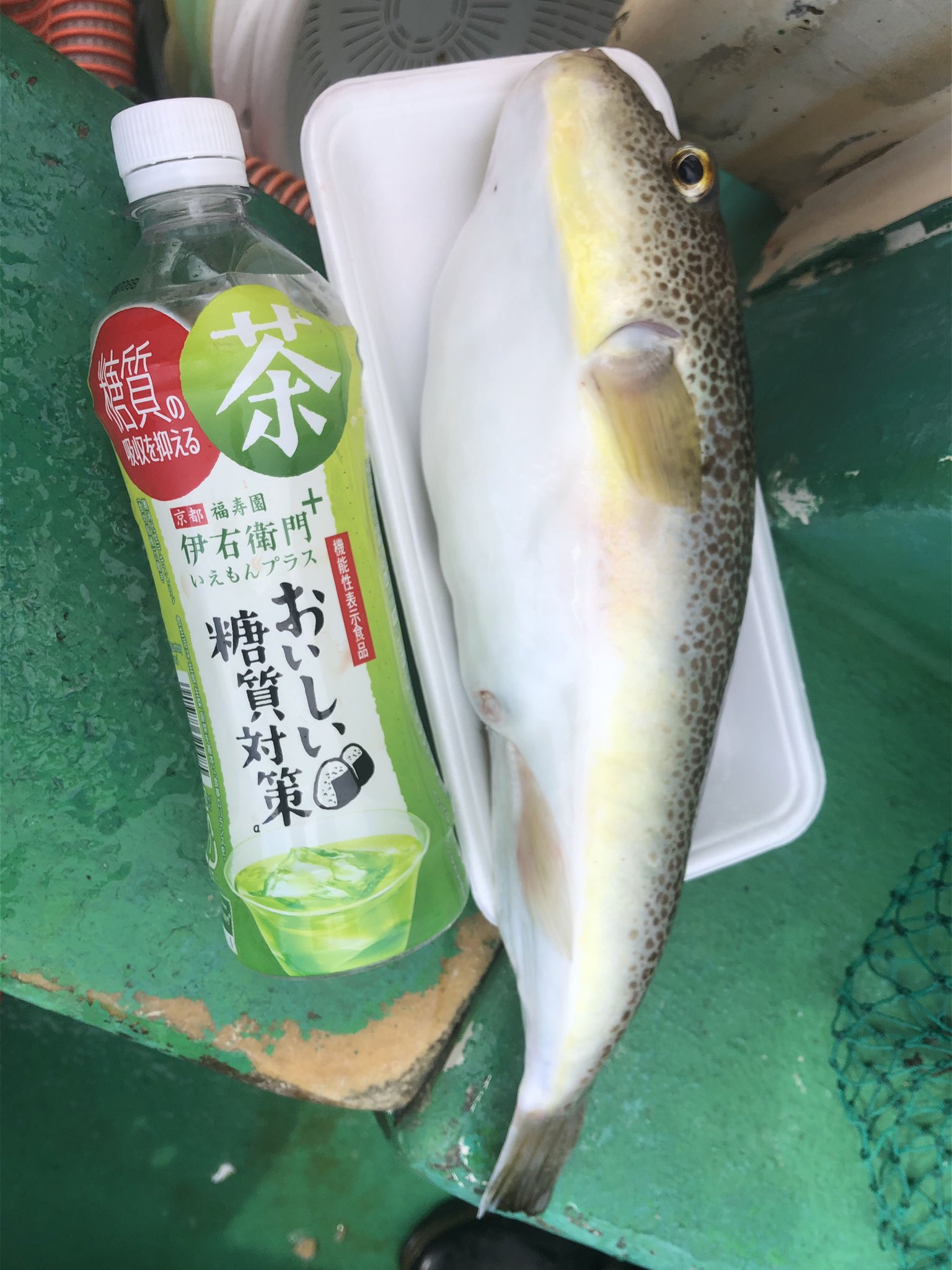 敷島丸 Twitter Search Twitter