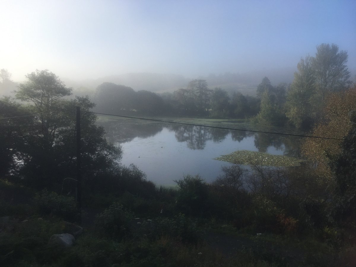 Beautiful morning....time for a potter on my kind of beach....