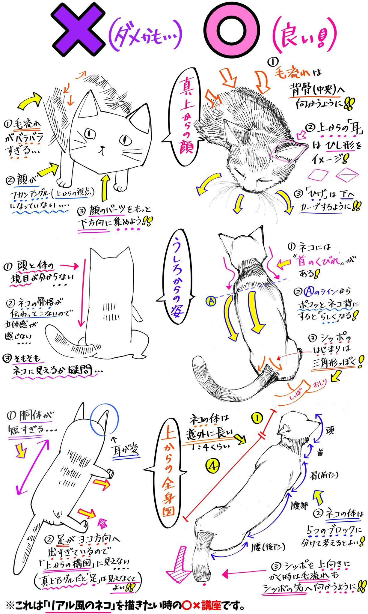 吉村拓也 イラスト講座 リアルっぽい猫の描き方 猫の毛並みや骨格 が上達する ダメかも と 良いかも 吉村拓也 イラスト講座 リアルっぽい猫の描き方 猫の毛並みや骨格 が上達する ダメかも と 良いかも