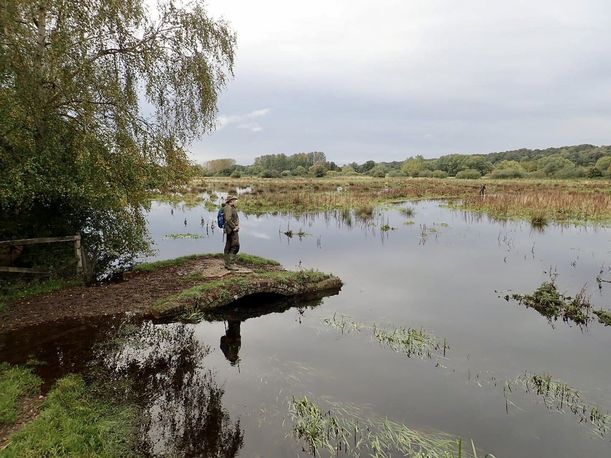 Yesterday we walked part of the route of the proposed Western Link Road. The destruction this will cause is not acceptable v’s the #ClimateCrisis &amp; Ecological Emergency. When the government states it wants to protect nature, projects like this must be stopped <a href="/StopWensumLink/">Stop the Wensum Link 🍃💚🍃</a>