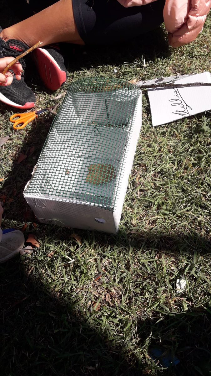 Avui a <a href="/JUGPlatjaGava/">Jugatecambiental Platja de Gavà</a>  estem fent hotels d'insectes... voleu aprendre què necessiten per viure i com atreure'ls?

Us ho passareu molt bé! Us hi esperem ...

@Fundesplai_ea <a href="/JugatecaAMB/">Jugatecambiental AMB</a> <a href="/AjuntamentGava/">Ajuntament de Gavà</a> <a href="/raquelsjimenez/">Raquel Sánchez</a>