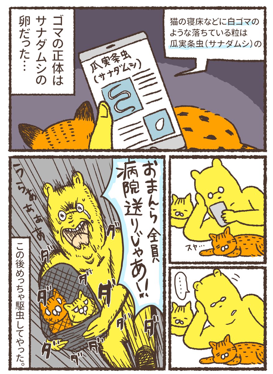 【昔の漫画】猫の寝床に白ゴマがいっぱいあった話
#猫漫画  #漫画が読めるハッシュタグ 