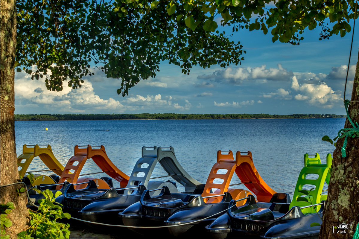 david_folie's tweet photo. Partons en ballade sur le lac du Moutchic. (33)
#moutchic #girondetourisme #nouvelleaquitainetourisme https://t.co/fqyUMV3z2n