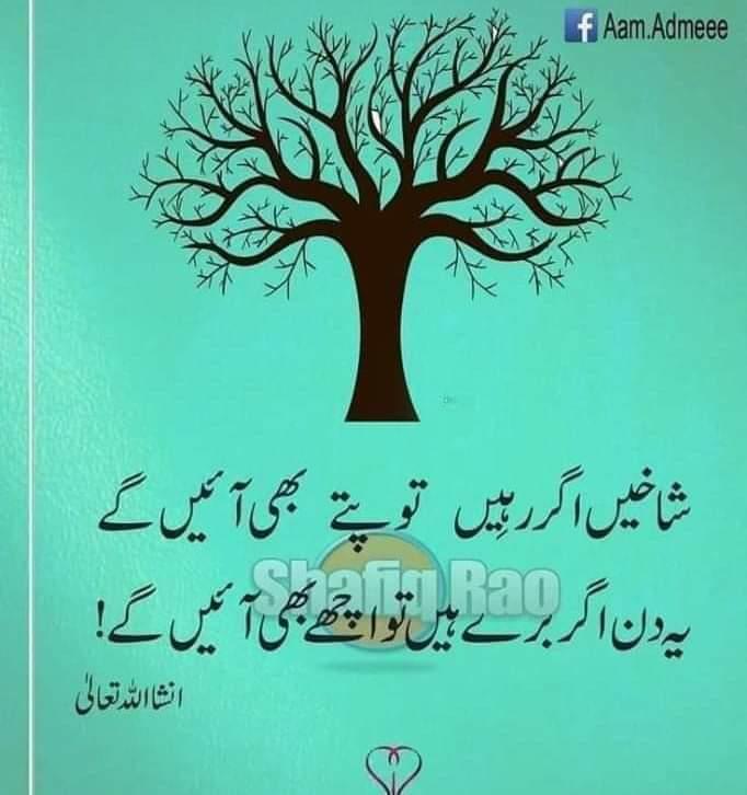 #نماز_راہ_نجات_ہے💞
<a href="/A5Malik/">ملک جمیل الرحمن</a>
<a href="/I_H_101/">Iftikhar Hussain</a>
<a href="/Zarka54/">🌹پٹھانی🌹</a>
<a href="/NaeemF_/">Naeem Faheem</a>
<a href="/78ds2/">§.•´¨'°÷•..× 🎀 ڈوگر صاحب 🎀 ×..•÷°'¨´•.§</a>
<a href="/Riz_S88/">Muhammad Rizwan</a>
🌷
<a href="/ArshikhanM/">Arshi khanm Arshi khanm</a>
@ali_14572
<a href="/Zah_63/">Zaheer Abbas</a>
<a href="/Raza5129/">Dr.Raza Haidery 🇵🇰💕</a>
<a href="/ahrk81/">Rana Abdul Hameed</a>
<a href="/Tahi_6/">Tahir_♡</a>
<a href="/waqar60/">Muhammad Waqar Aziz</a>
@AA_Malik9
<a href="/baloch9786/">شاکر بلوچ</a>
<a href="/YousfiShaima/">shaima yousfi</a> 
<a href="/mfarhandogar/">M Farhan 233</a>
@Noorkpti
<a href="/aAHKR20/">Rana Hameed</a> 
@hqim_1 
<a href="/MSHZ1_/">🐰</a> 
@Nysar7