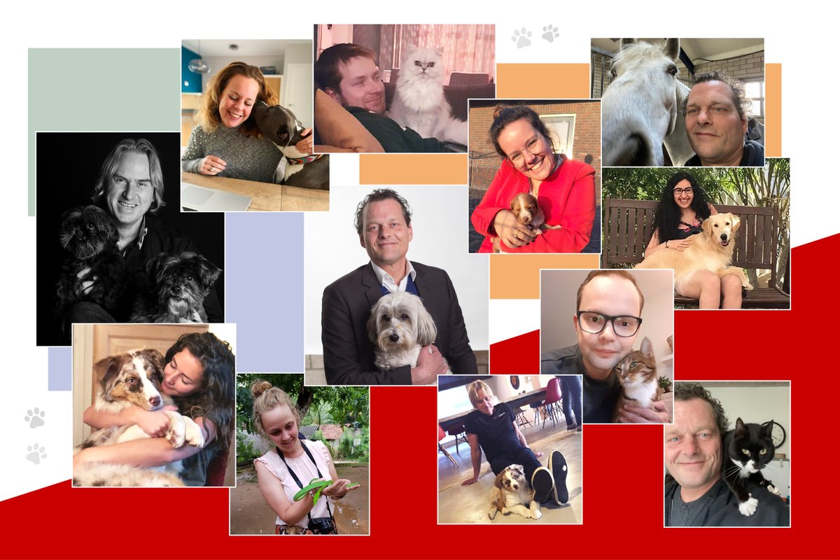 Het Kwaaijongens team bij elkaar met hun favoriete, vierpotige vriendje of vriendinnetje!🐶🐍🐴🐈 Wij als grootste dierenliefhebbers wensen iedereen, samen met hun lieve huisdier, een fijne DIERENDAG!

#kwaaijongens  #dierenliefhebbers #dierendag #werelddierendag #hond #kat