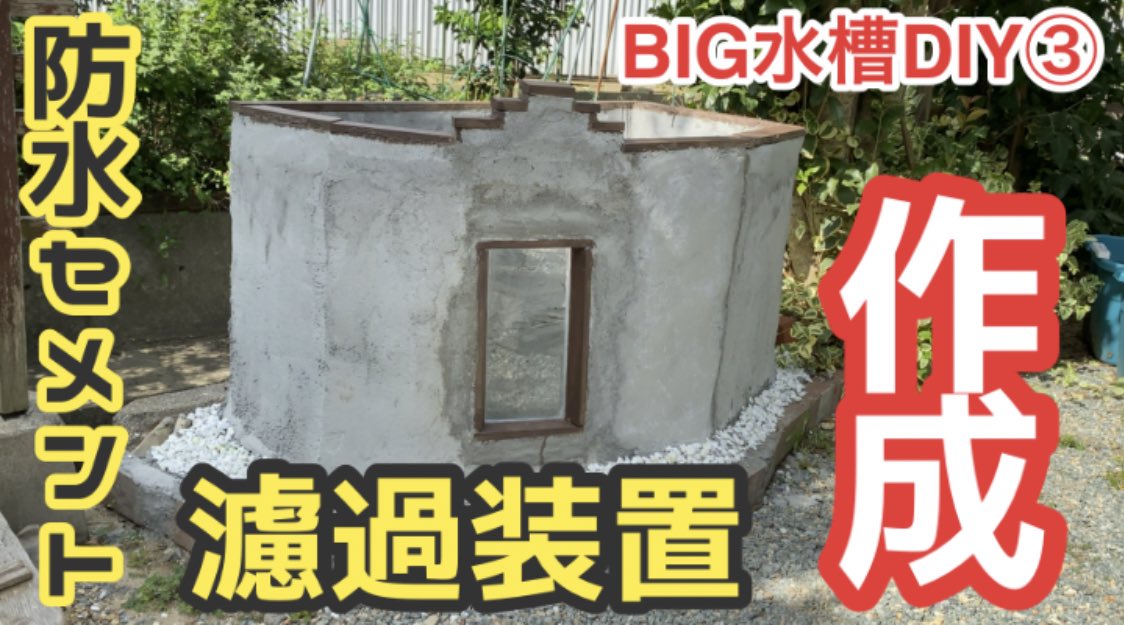 Haru S Aquarium Ch Twitter