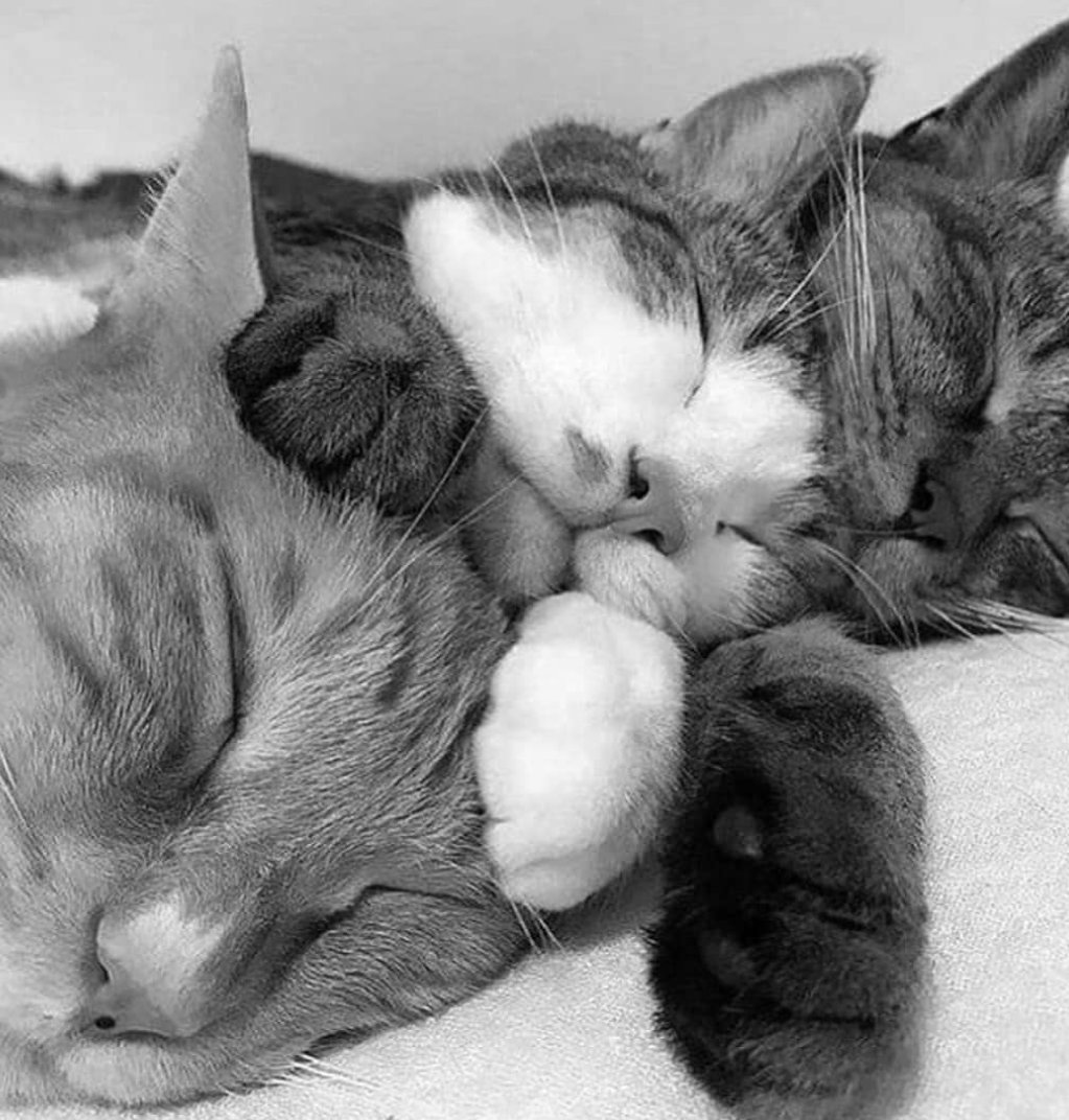 10/10 siyah beyaz (@ononsiyahbeyaz) on Twitter photo 