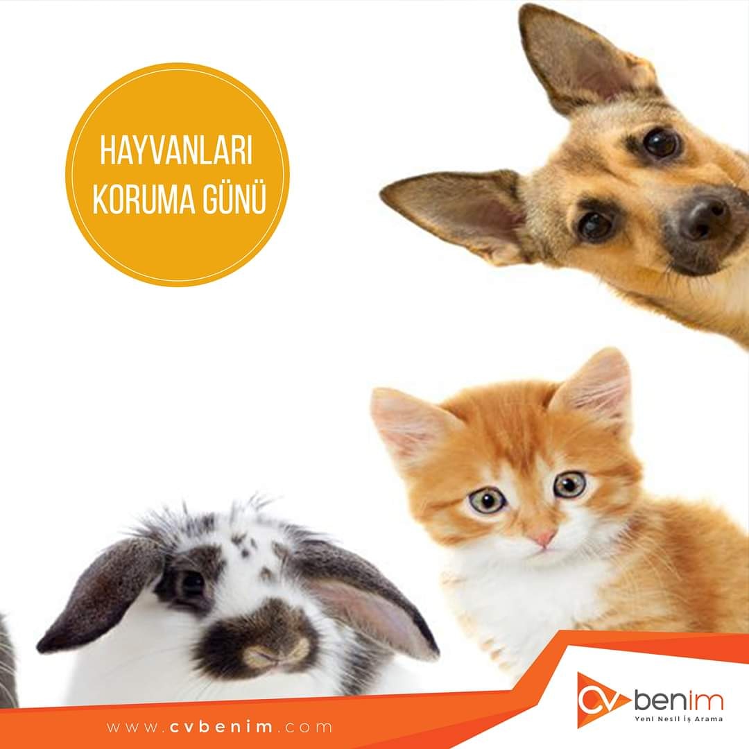 Hayvanları bir gün değil her gün sevmek ve korumak, yaşama hakkına saygı duymak lazım. 4 Ekim Dünya Hayvanları Koruma Günü kutlu olsun.