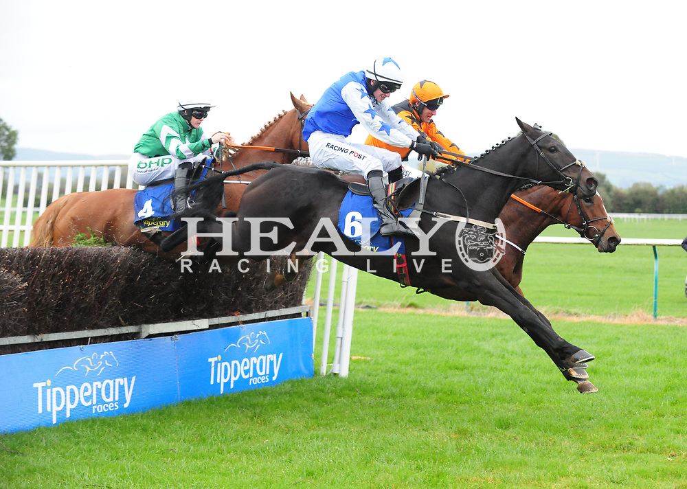 jeremysykes60's tweet photo. On this Sunday last year Robin De Carlow beat Put The Kettle On in a thrilling finish to the Grade 3 Like A Butterfly Novice Chase @tipperaryraces #PrincessRobin https://t.co/B8eb5oyCpx