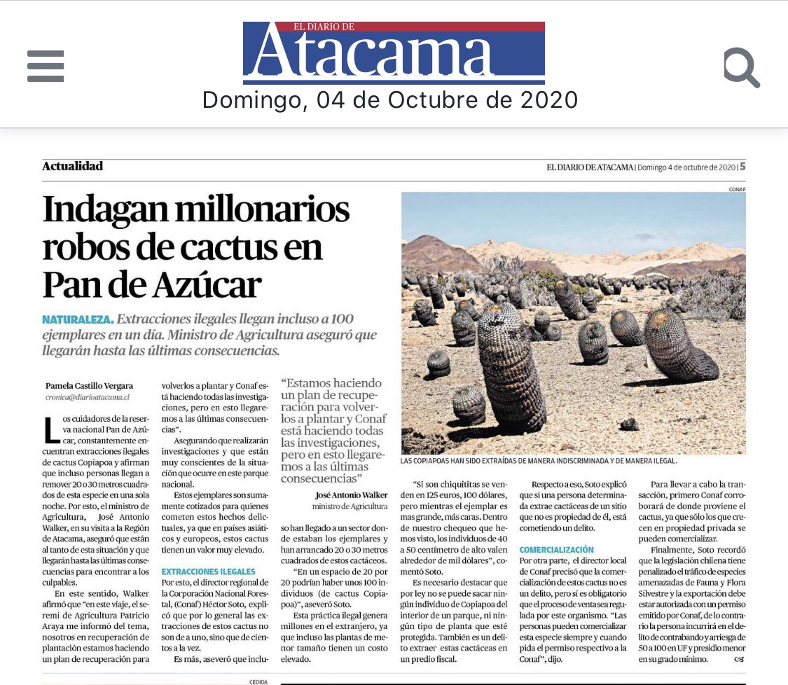 chripalma's tweet photo. Terrible!!! Cuidemos nuestro @PN_PandeAzucar Denuncie si ve algo así!!! 🌵🌵 https://t.co/AGQKplgVCh