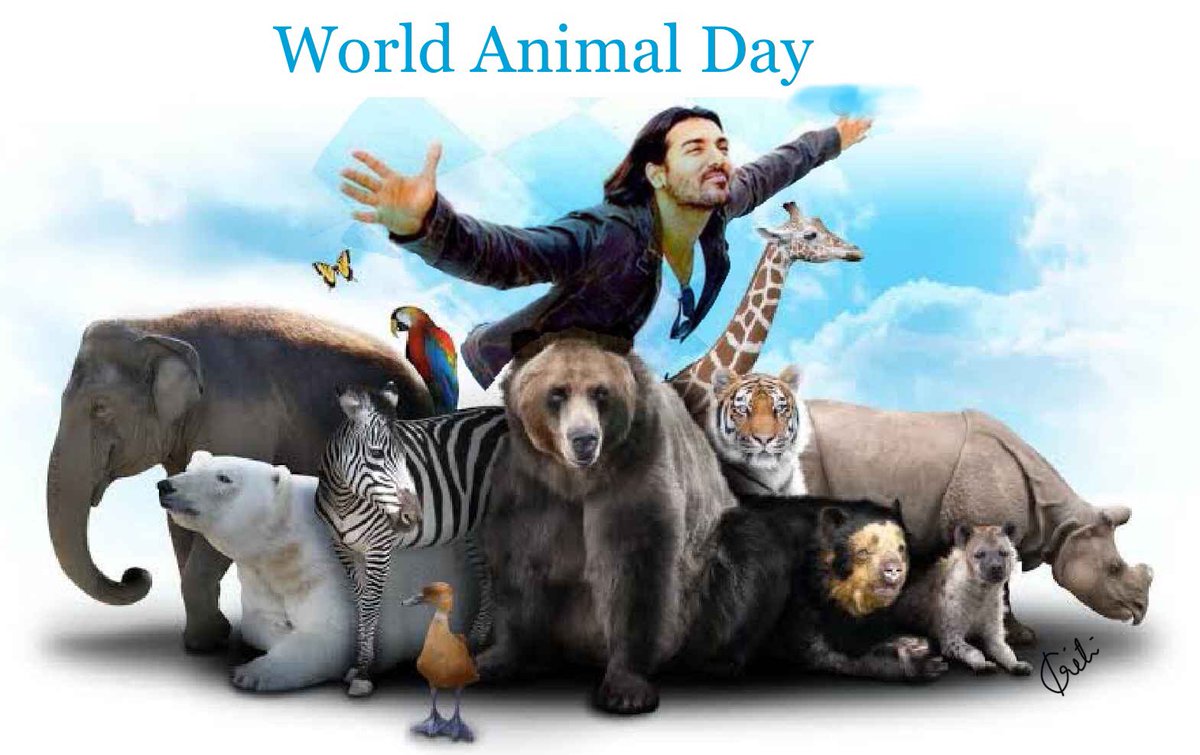 It’s @worldanimalday and as good a day as any to celebrate all the wonderful creatures we share this beautiful earth with 🌍 
@TheJohnAbraham 
@_MohitChauhan 
@HvhKenzy 
@rashmigautam27 

#bekind2animals #Dontkillanimals #feedstrays #adoptdontshop #planetearth #conservewildlife