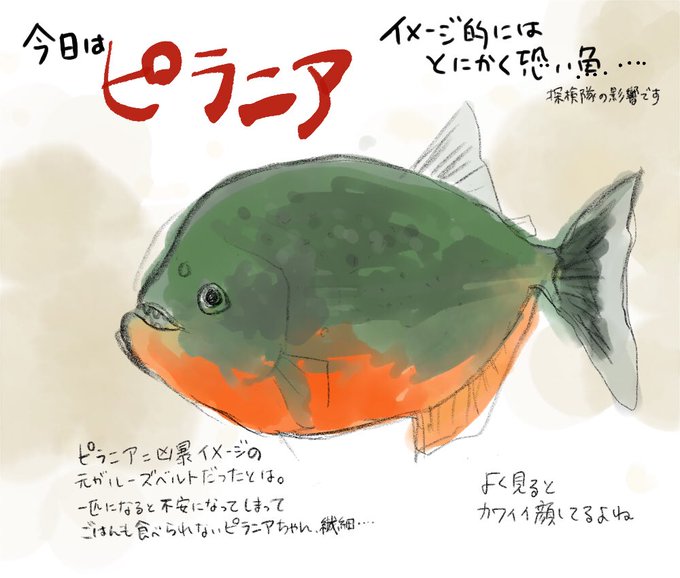 ピラニアのtwitterイラスト検索結果 古い順