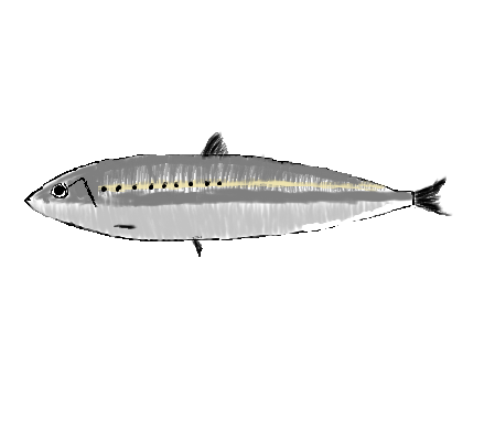 いわしのtwitterイラスト検索結果 古い順